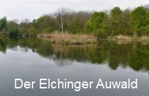 Elchinger Auwald